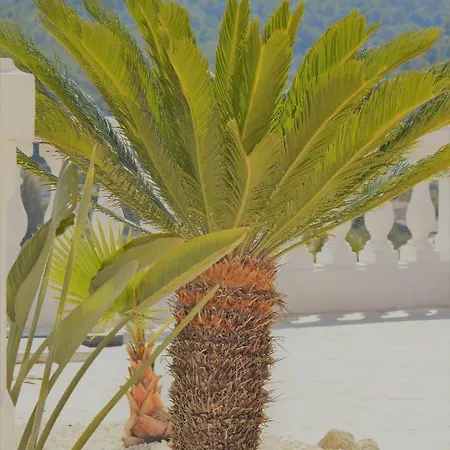 Apartment La Terre Des Lauriers Vallauris